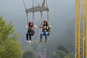 chatgpt image aug 1, 2025, 11 00 03 pm